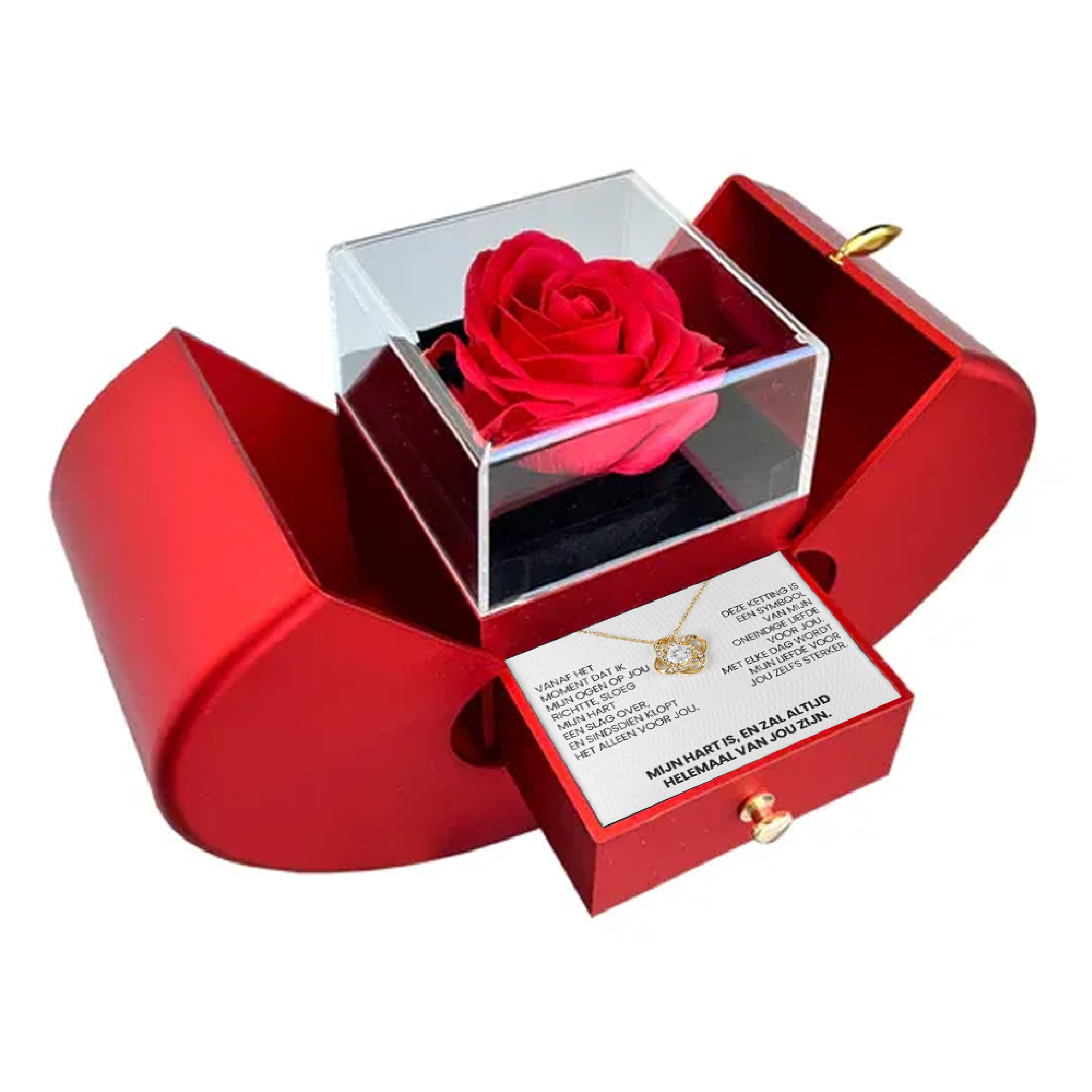 To My Treasure - Eternal Rose Box - With Love Knot Necklace & Real Rose