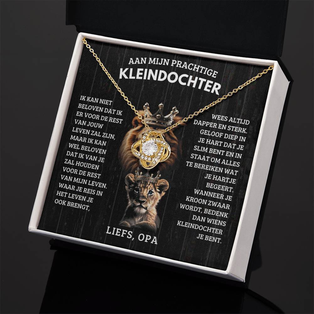 To My Granddaughter - Old Lion and Cub - Love Grandpa