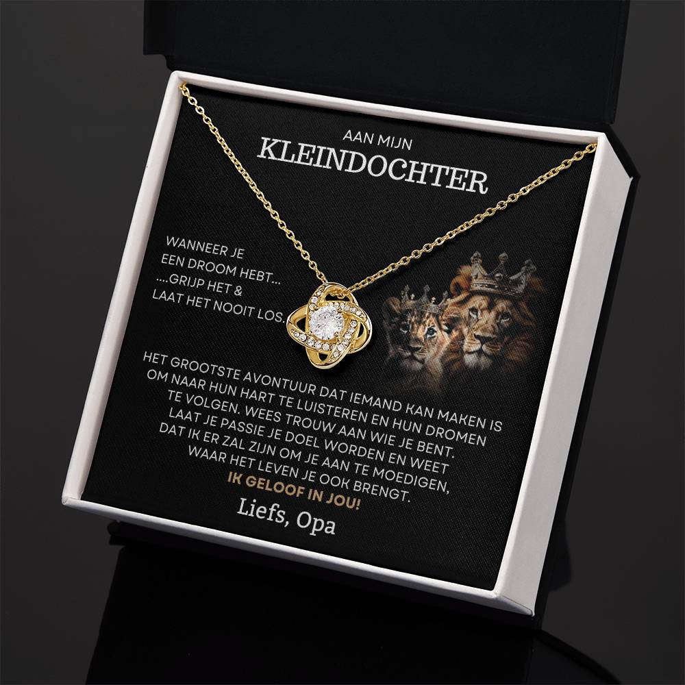 To My Granddaughter - Follow Your Dreams - Love Grandpa