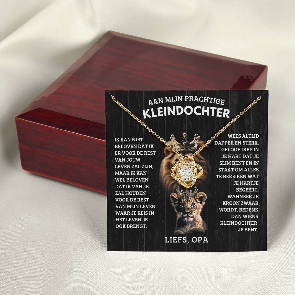 To My Granddaughter - Old Lion and Cub - Love Grandpa