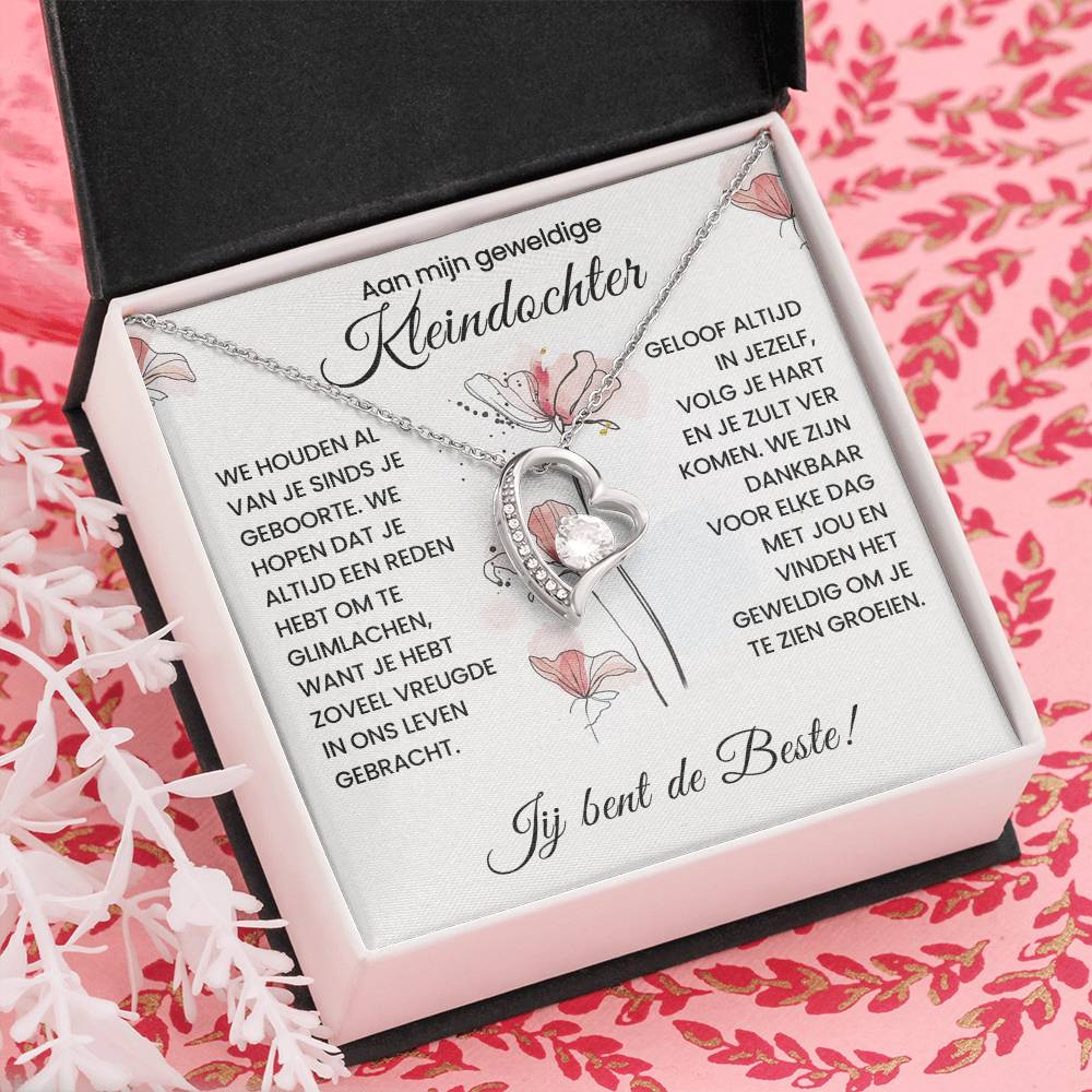 To My Granddaughter - You Are the Best - Heart Necklace