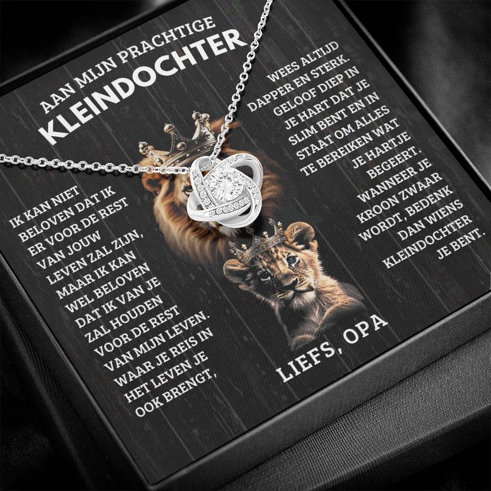 To My Granddaughter - Old Lion and Cub - Love Grandpa