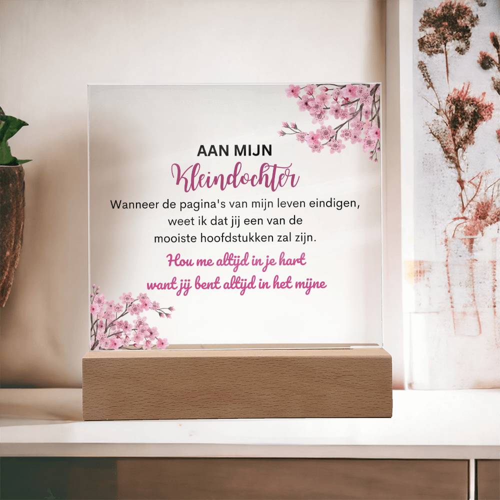 To My Granddaughter "Always Keep Me in Your Heart..." Plexiglass