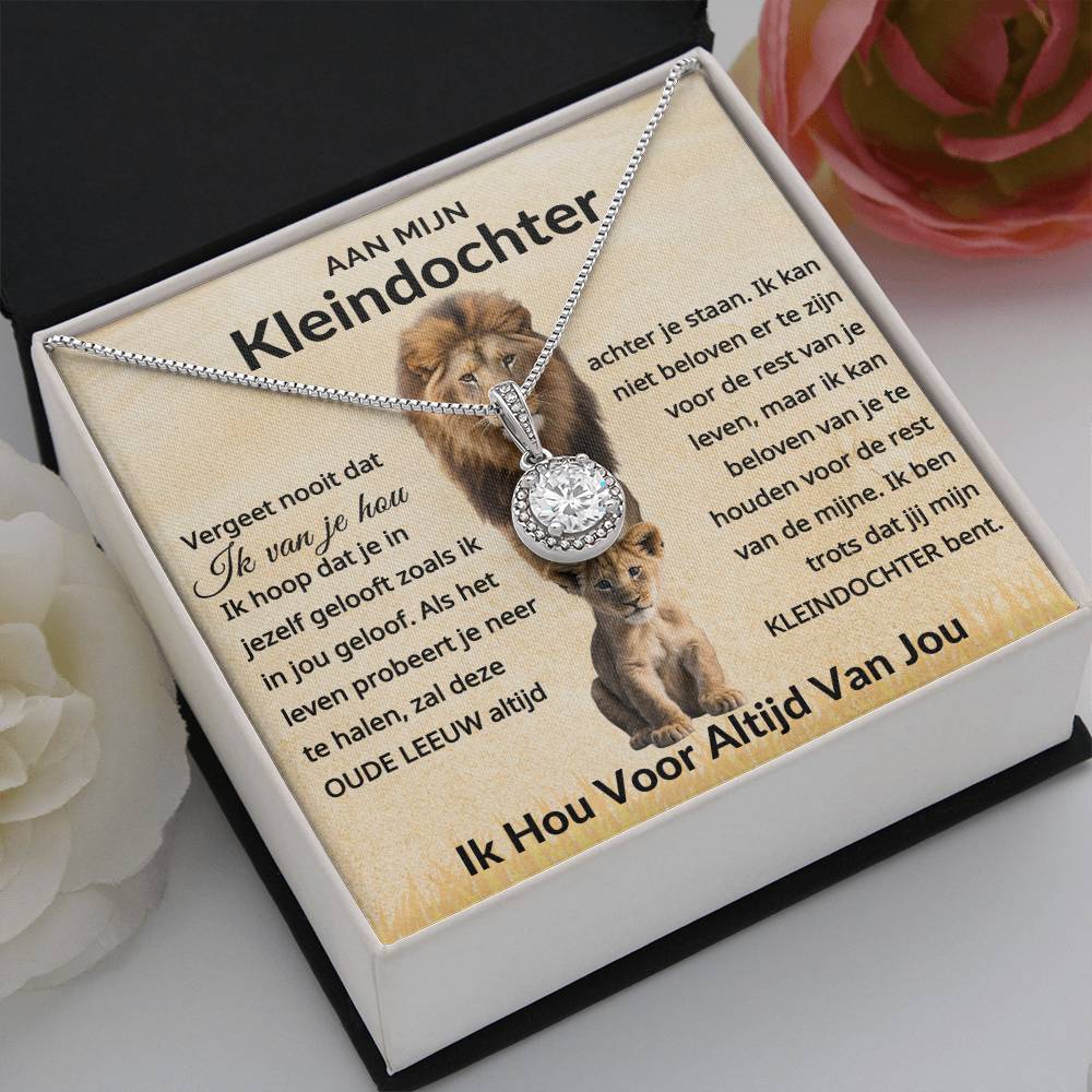 To My Granddaughter - Never Forget That I Love You - 14k White Gold Circle Necklace